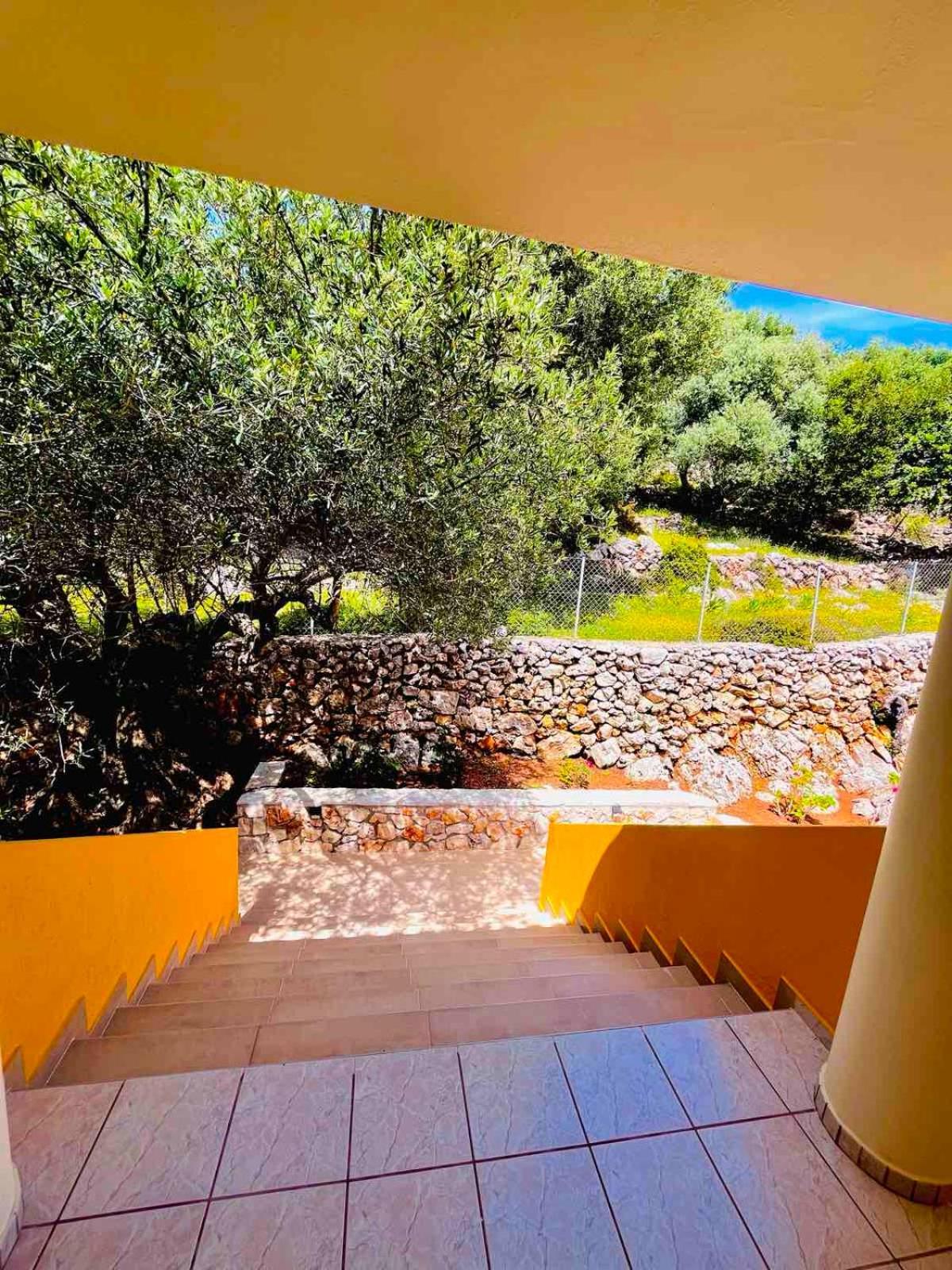 Asteras Studios Argostoli  Esterno foto