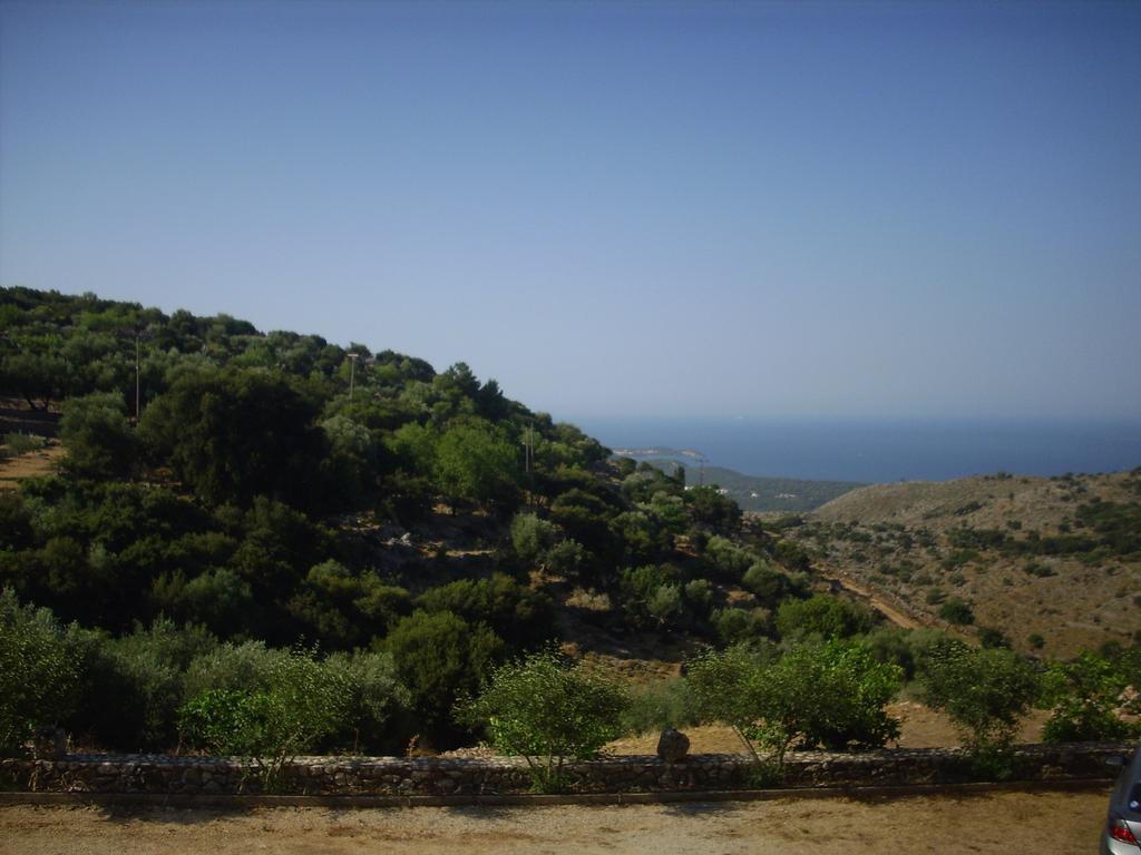 Asteras Studios Argostoli  Esterno foto